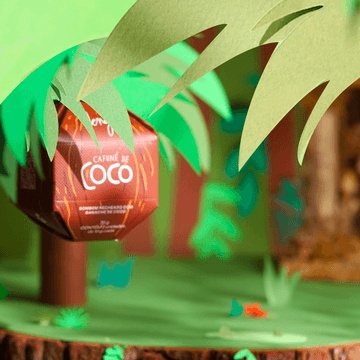 dengo-choclates-cafune-coco